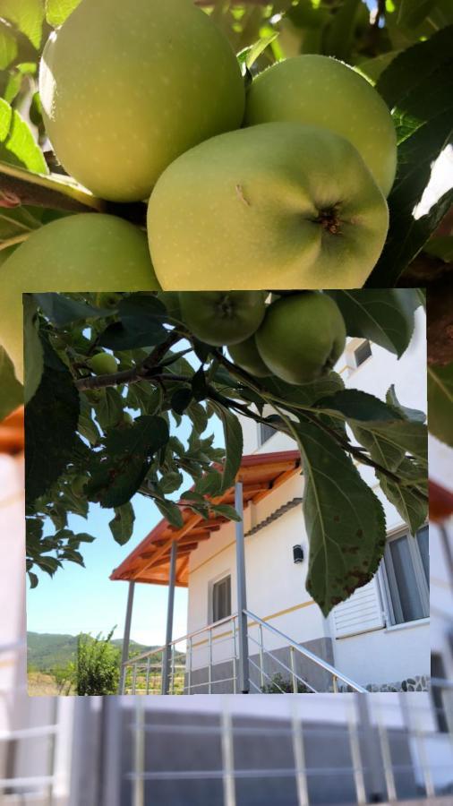 Përmet Hotel Apostoli מראה חיצוני תמונה