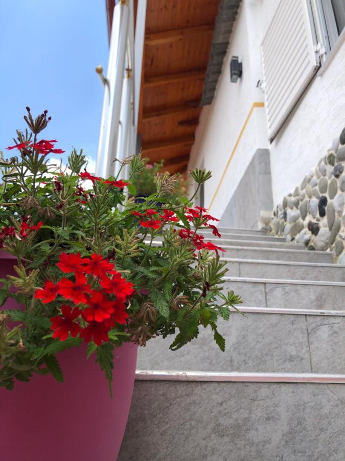 Përmet Hotel Apostoli מראה חיצוני תמונה